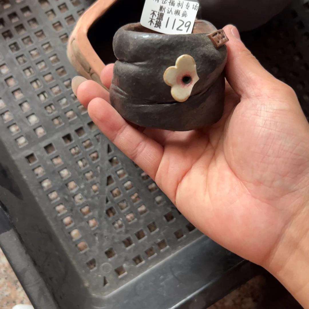 1129福利jy来咯来咯