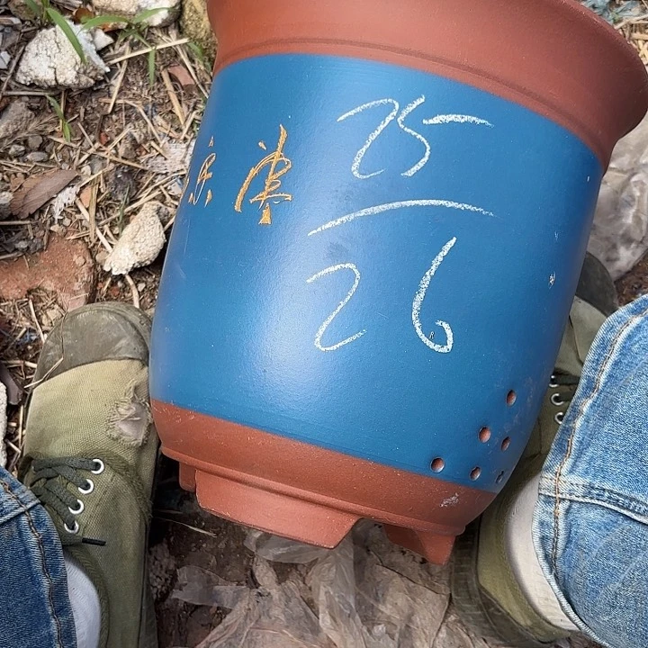 紫泥花盆紫砂花盆