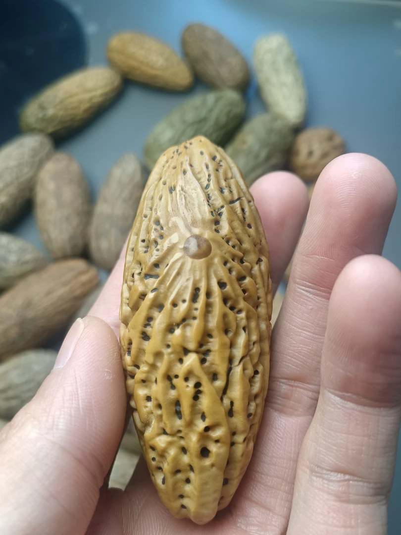 精选千眼刷果成品（无质量问题不退）