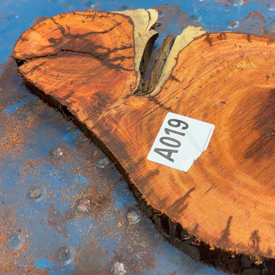 一物一拍血檀编码019