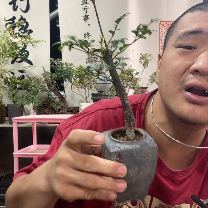 无花朵退款拉黑拉黑52