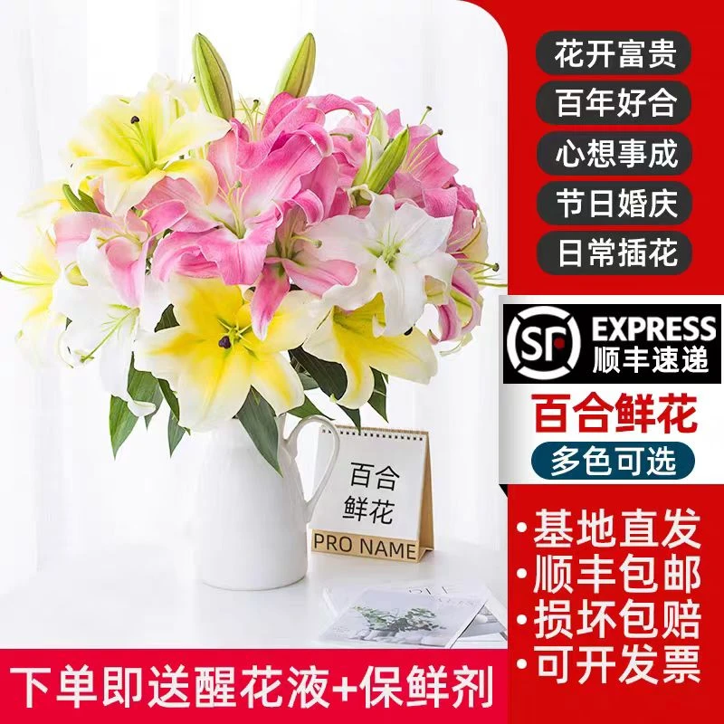 【顺丰一单包邮】七彩百合云南香水百合鲜花基地直发水养家用插花
