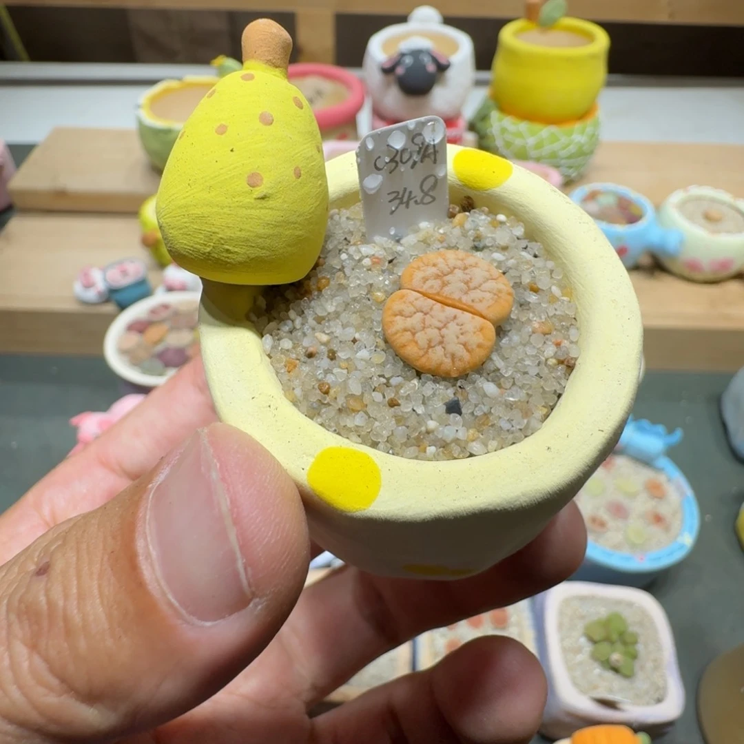 蘑菇229c309a拿铁拿铁