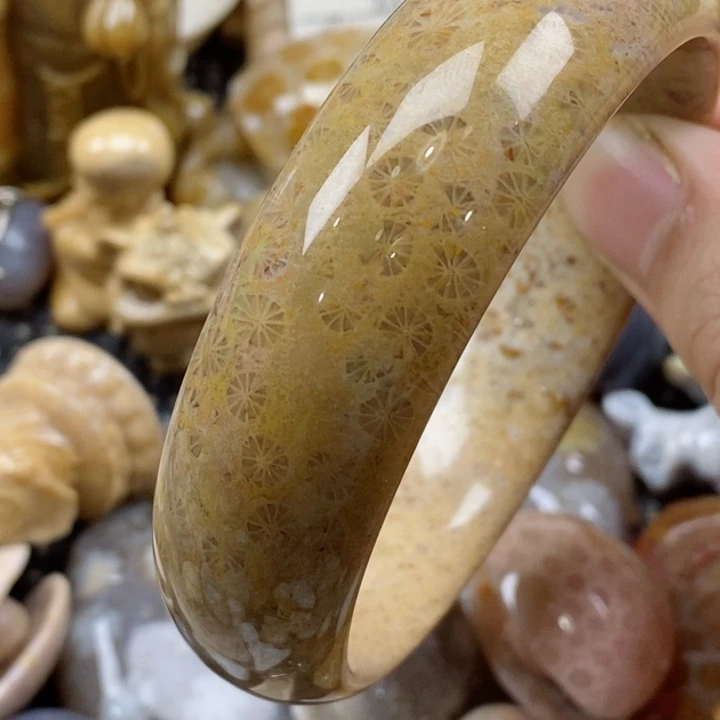 颈饰未镶嵌硅化珊瑚（珊瑚玉）