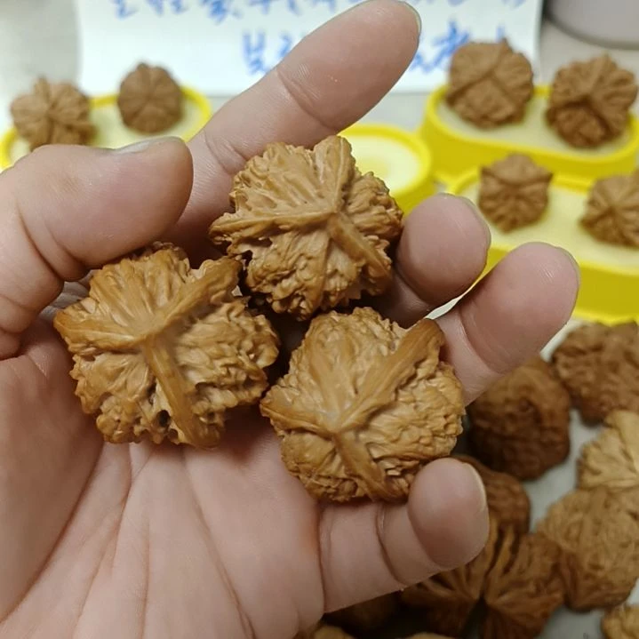 清***人霞云岭三棱，正奔俩，人奔一个