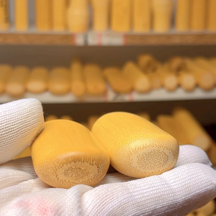 实心玉竹黄皮仙贝