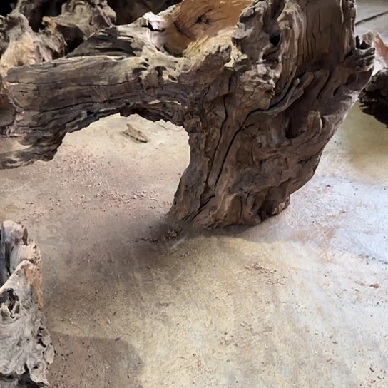 岁**梭紫砂噜啦啦啦啦啦啦