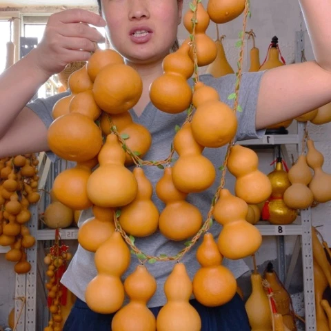 天然植物葫芦文玩