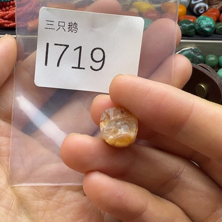 ༺***༻吊坠菩提根/象牙果
