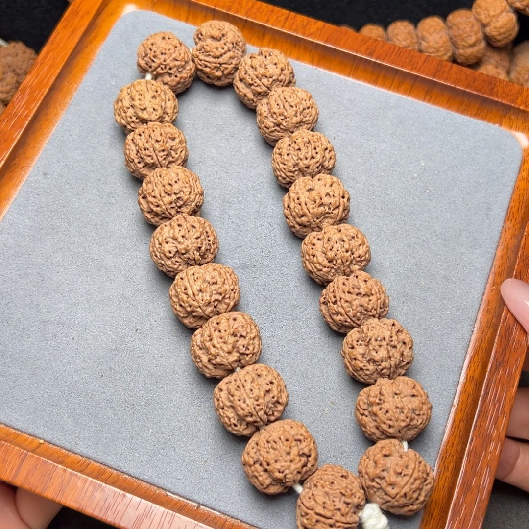 菩提34号金刚菩提安娜蜂王手持21