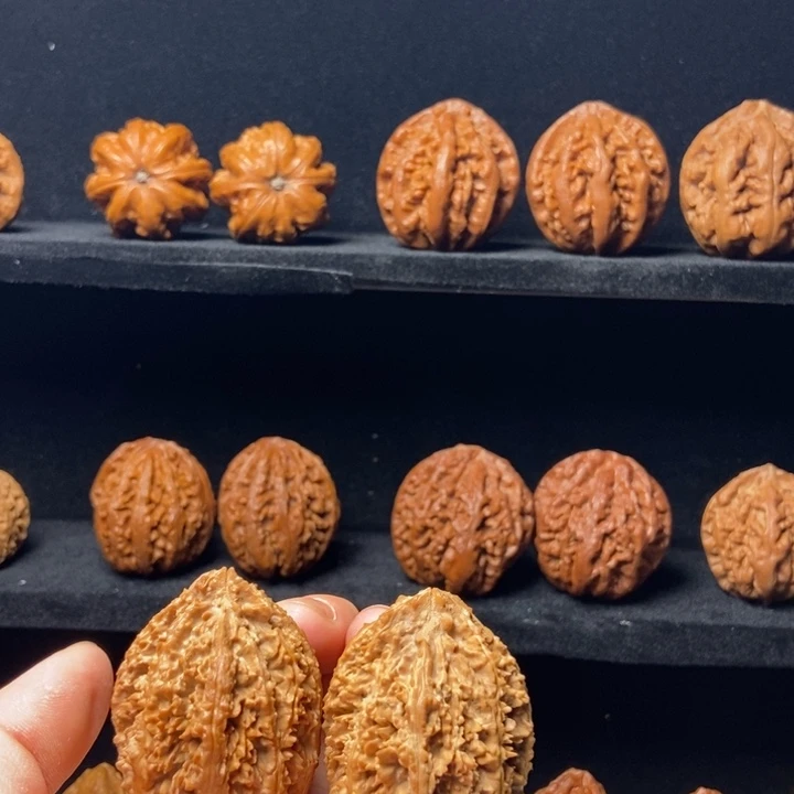 党***队把件文玩核桃满天星