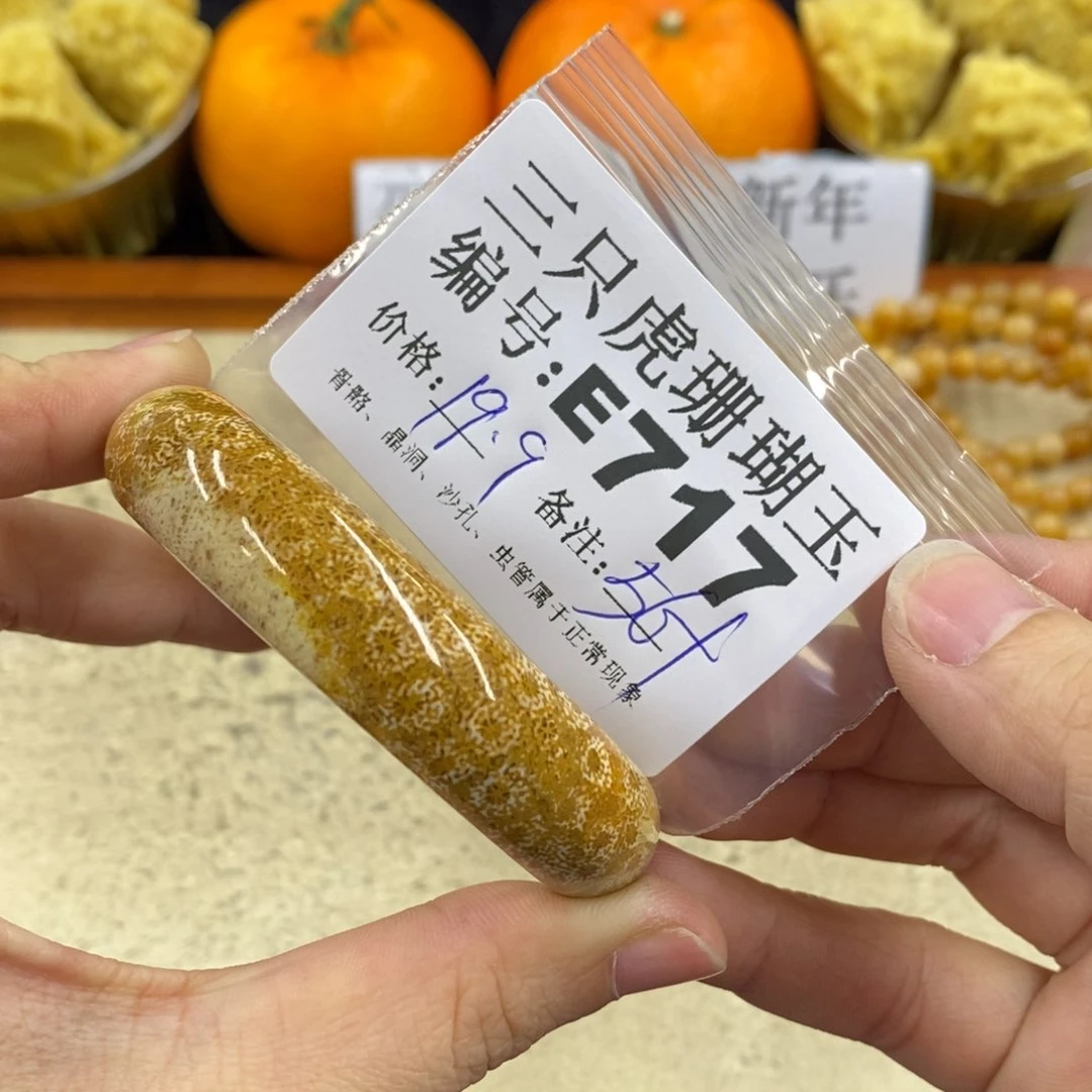 硅化珊瑚（珊瑚玉）1未镶嵌小*子