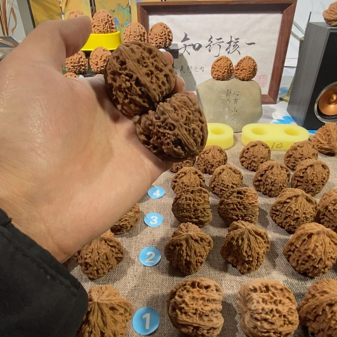 木质类一代43尺50克