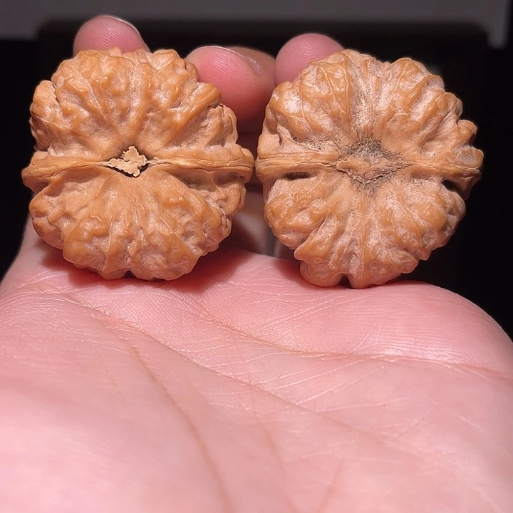 手串/手链核桃001