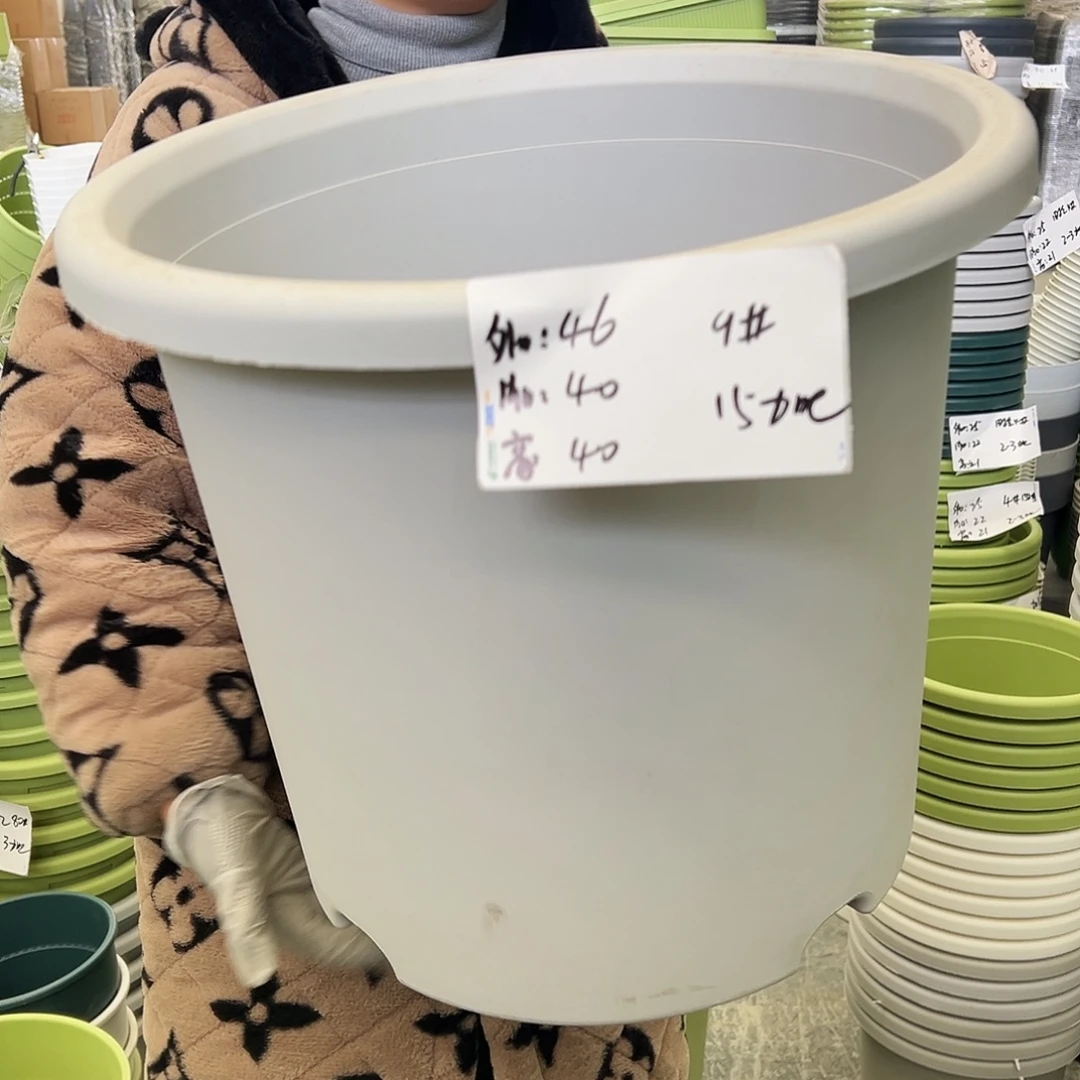 四季盆9#灰白色4个无托