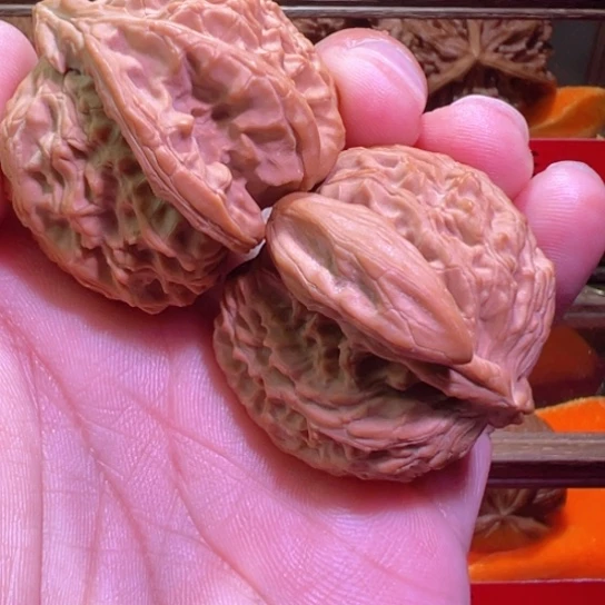 绝品白狮子夫妻对41+边全品