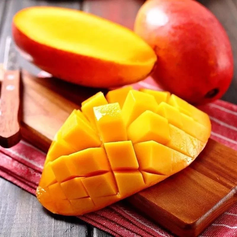 Y【品芒】攀枝花彩虹芒果净重5斤9斤带箱软糯香甜多皮薄肉厚仓发货