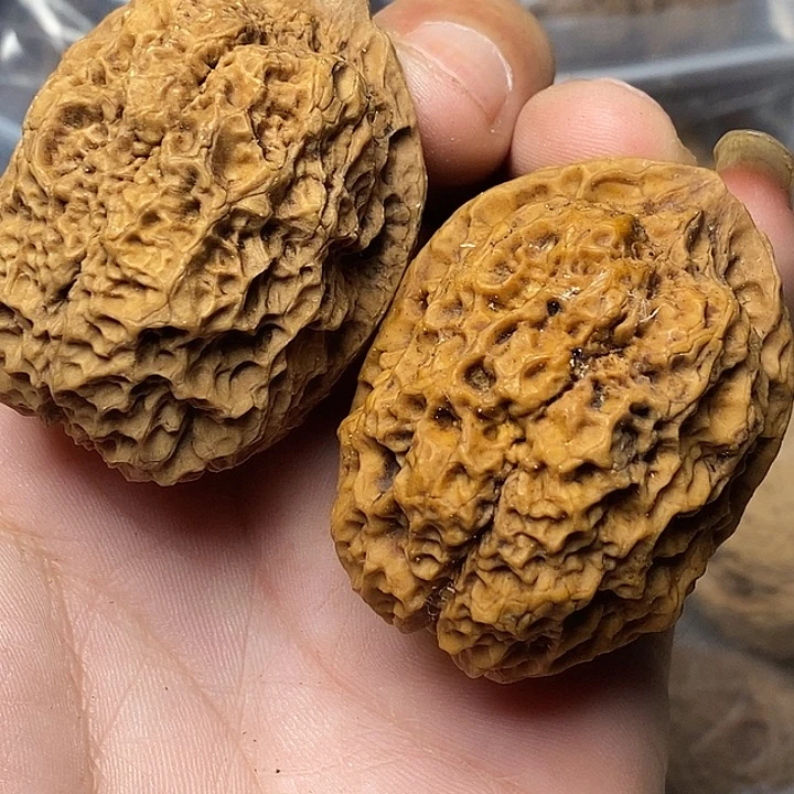 文玩核桃把件云南铁核桃76
