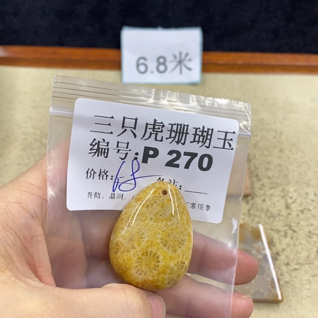 硅化珊瑚（珊瑚玉）1未镶嵌耀**/