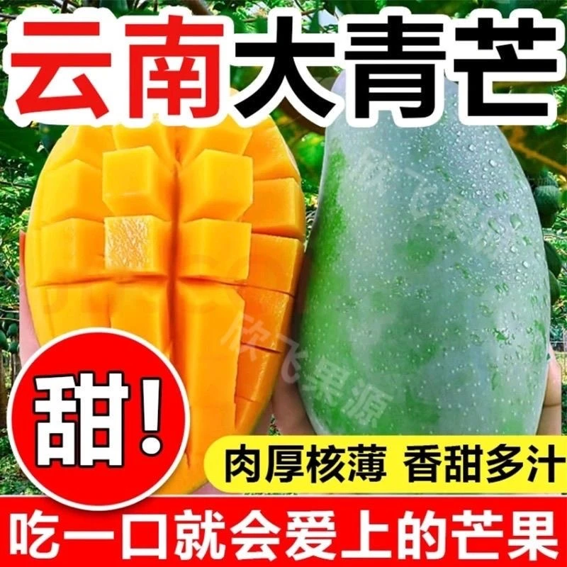【样哥专属】云南大青芒西双版纳新鲜现摘青皮芒整箱爆甜生熟两吃