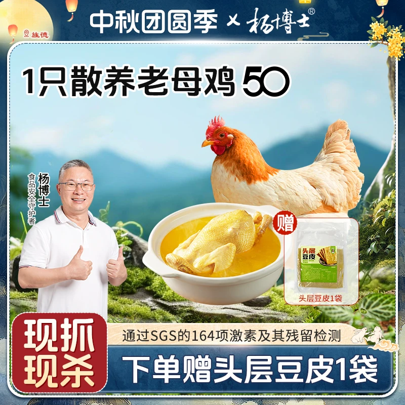 【满屋飘香老母鸡】杨博士土鸡皖南深山散养老母鸡 包冰率不含冰