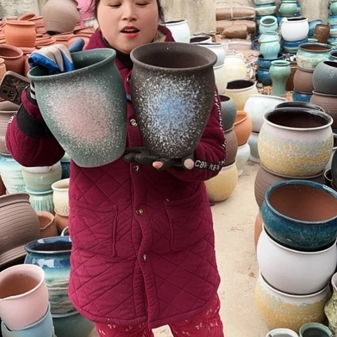 18口22高盆子盆子