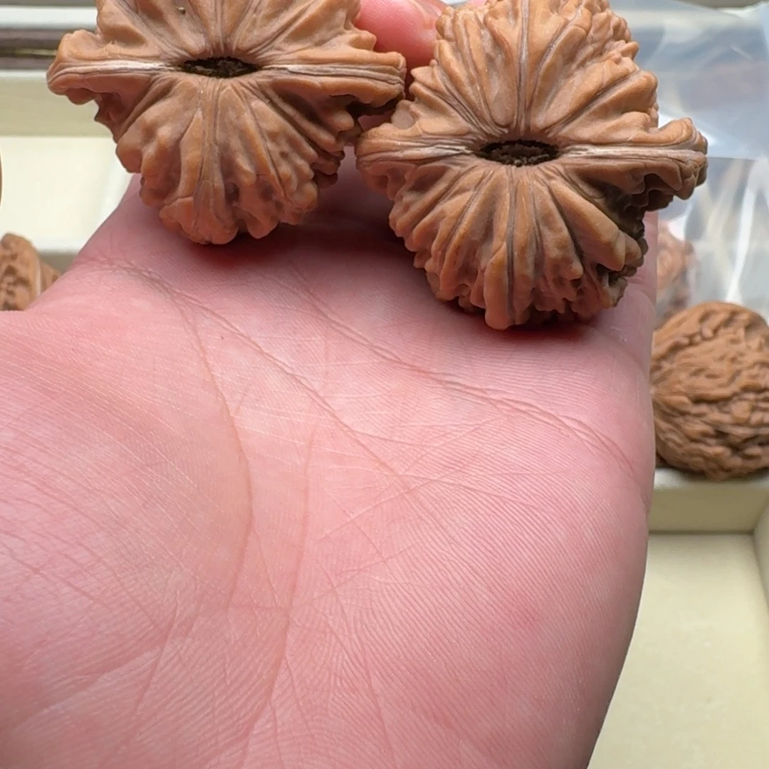 手串/手链核桃45楼王