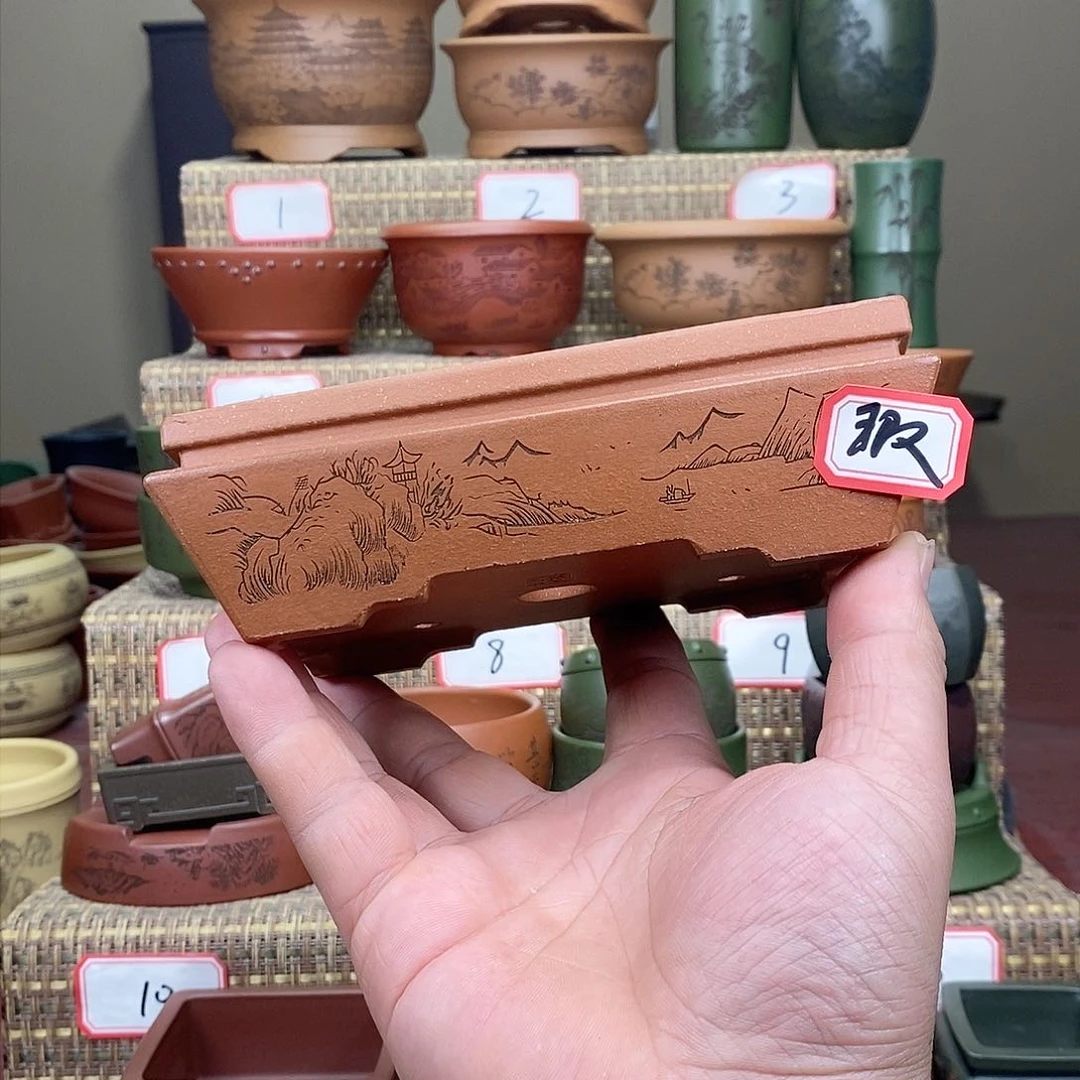 紫砂花盆我在等他