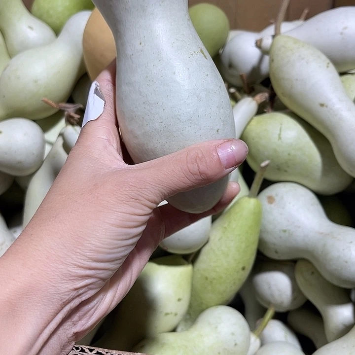 大果紫檀（缅甸花梨）用****5