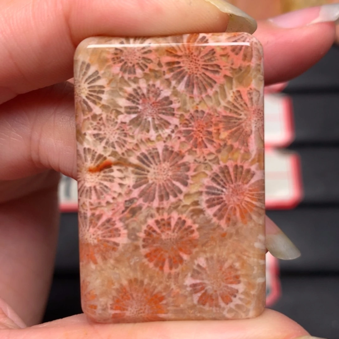 【闪购商品】硅化玉颈饰未镶嵌煒****w