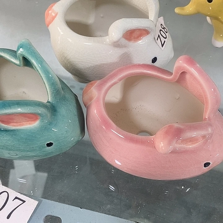 花盆抢购清货马上开始