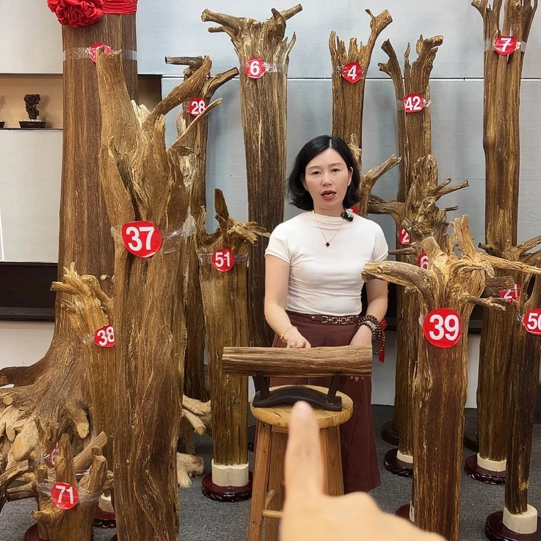 摆件沉香沉香摆件