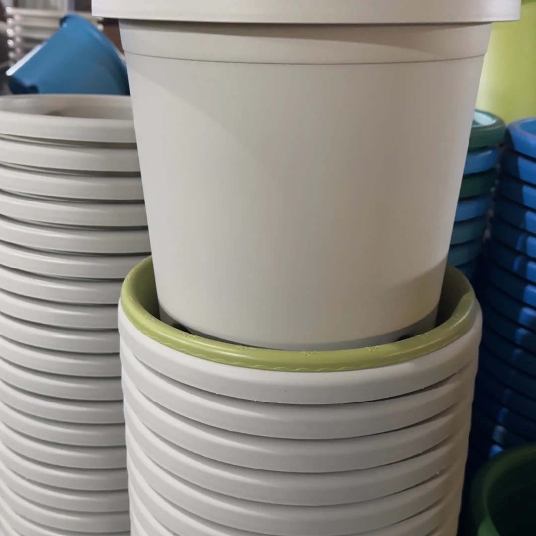 树脂特价5#无拖灰白6个