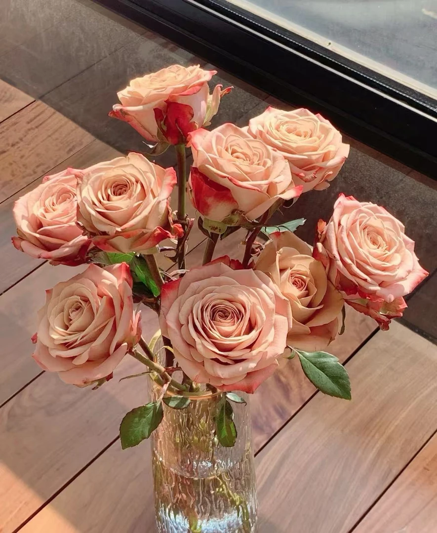 【卡布奇诺玫瑰】云南鲜花基地直发家用鲜花