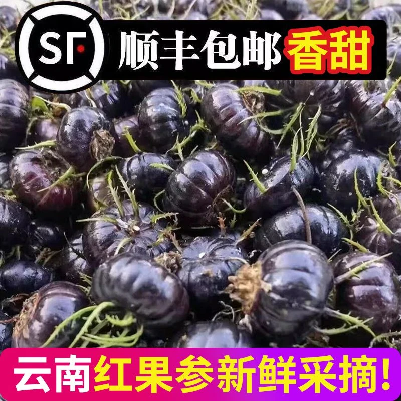 【鲜果尝鲜】正宗云南红果参新鲜现摘大果当季水果蜘蛛果整箱批发