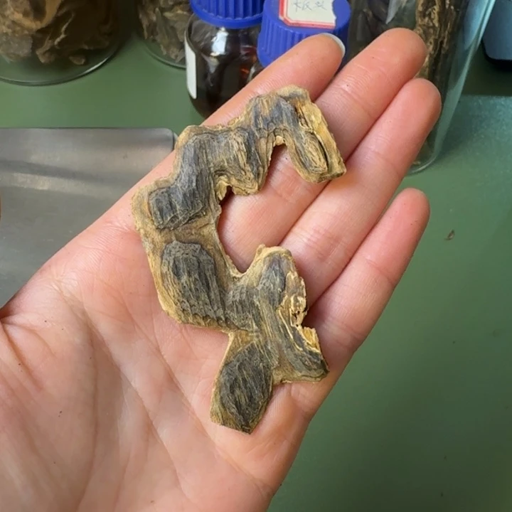 沉香手把件浩*海南天然野尖峰岭虎斑棋皮油高货老香块料3克