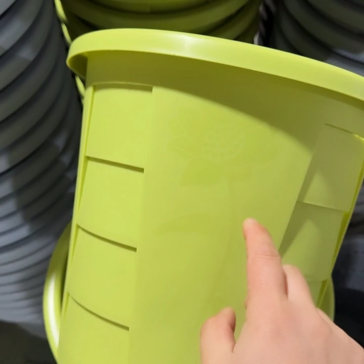 编号801果绿无托4个