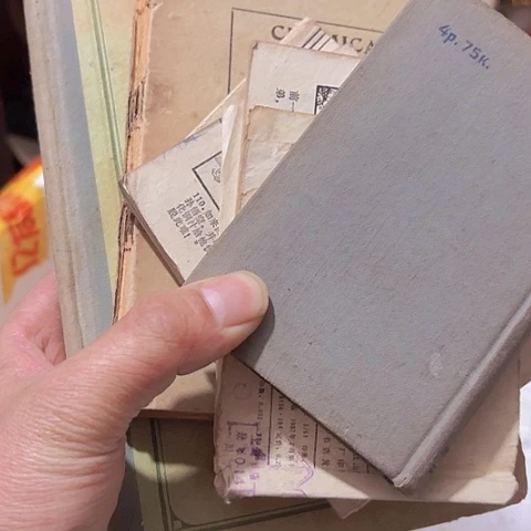 香榧木中*龙Gcfhghhhvghv