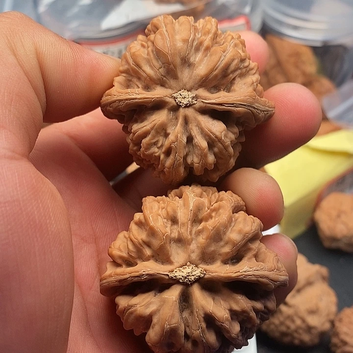 把件文玩核桃粗筋47