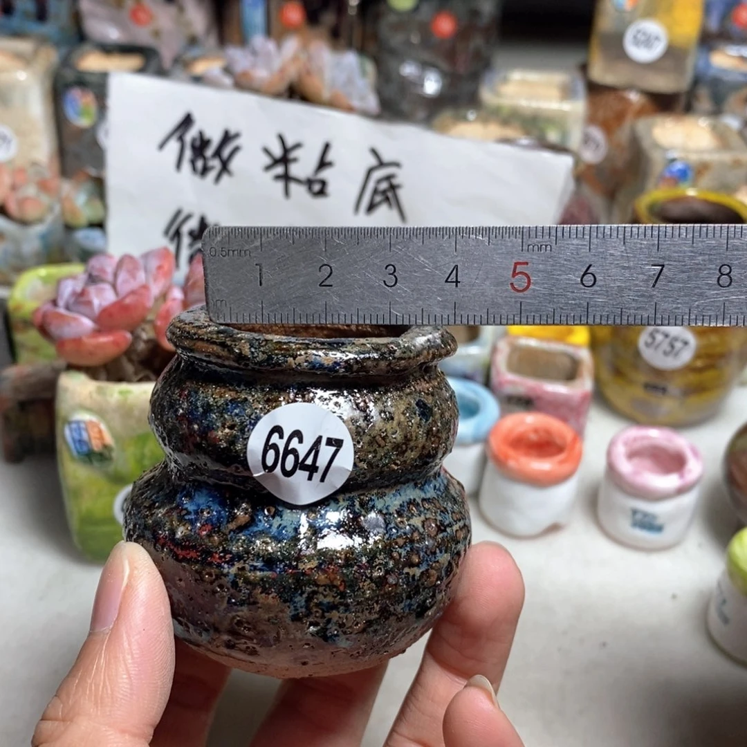 拍5送一个小礼物