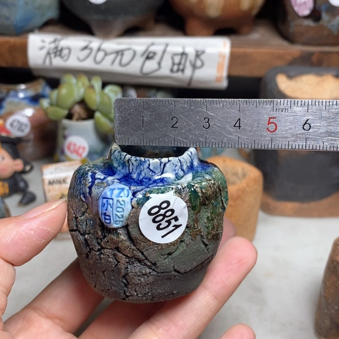 拍3送一个小礼物
