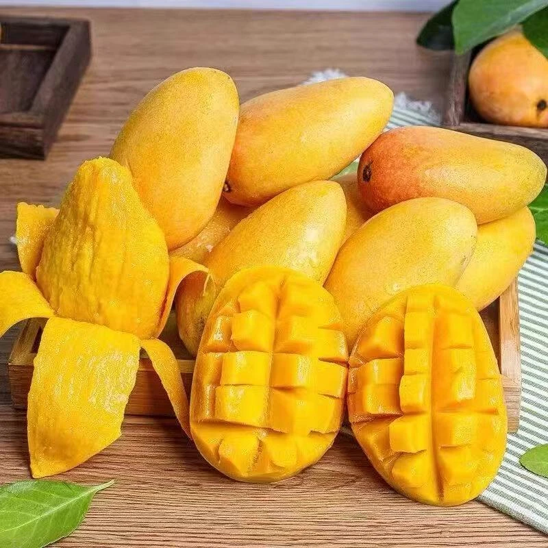 正宗云南小台农芒果当季新鲜水果超甜现摘小台芒整箱5斤