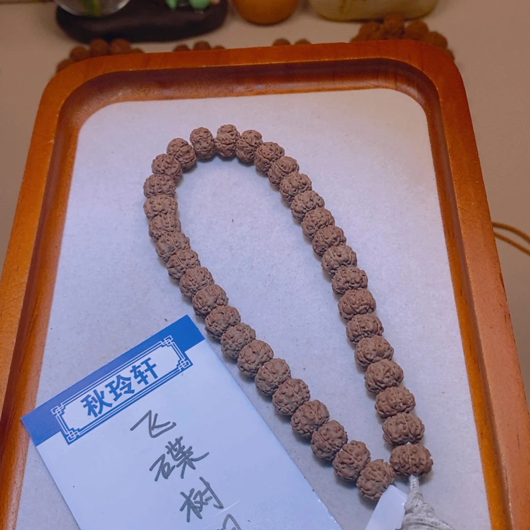 手串金刚菩提树祖10