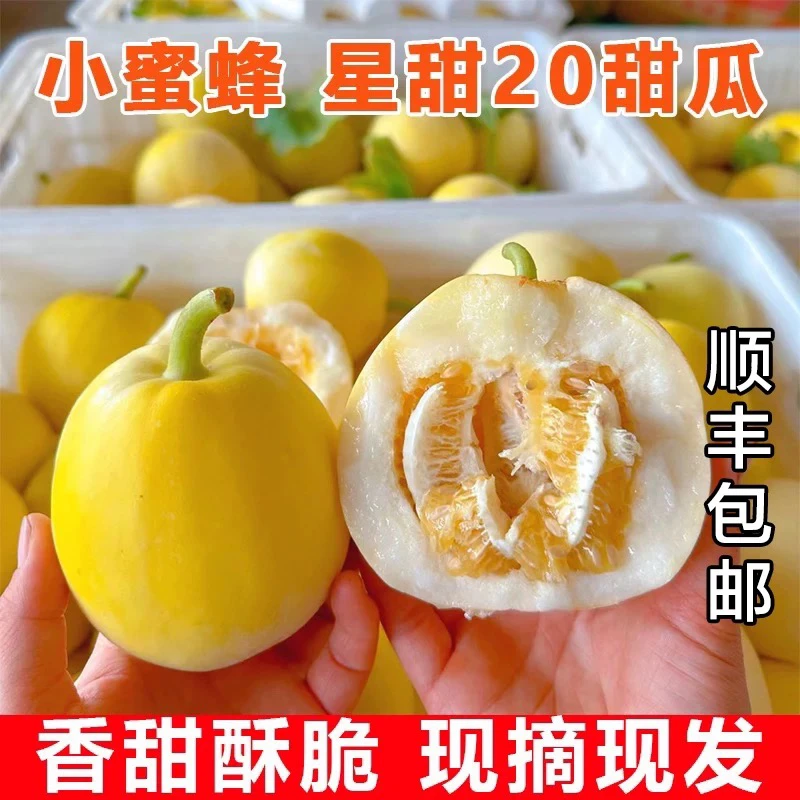 （顺丰包邮）小蜜蜂甜瓜香瓜蜜罐甜瓜新鲜水果羊角蜜玉菇甜瓜早甜脆