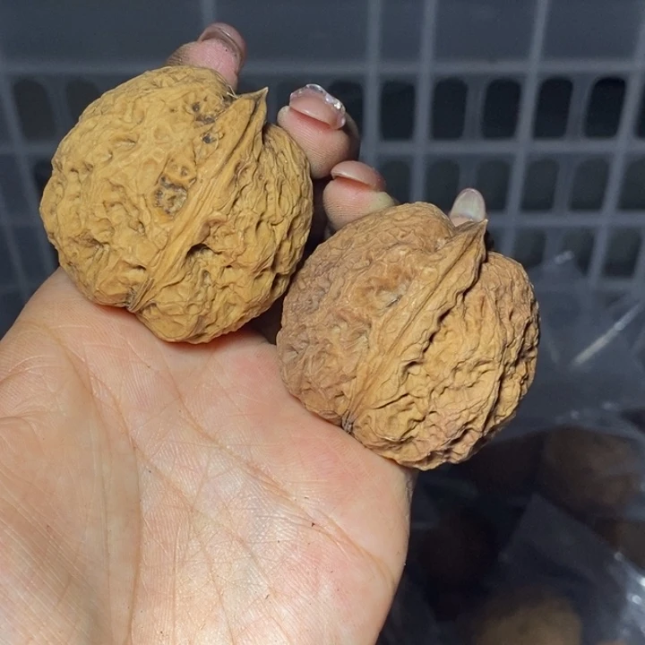 核桃云南野生铁核桃199号42mm