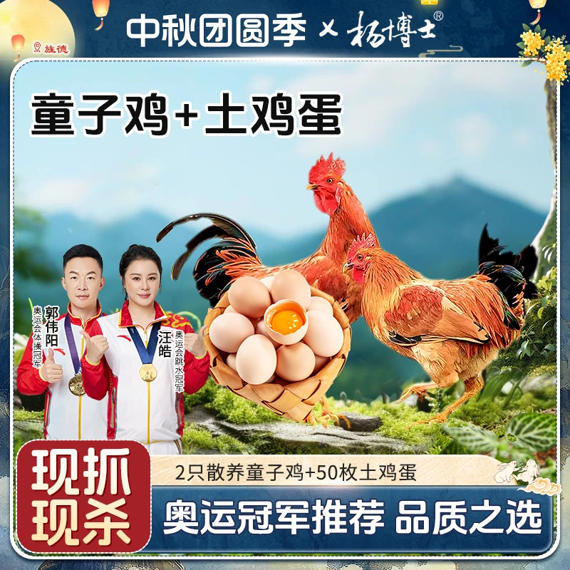 【两只童子鸡+鸡蛋组合】杨博士土鸡散养鸡土鸡蛋50枚 包冰率不含冰