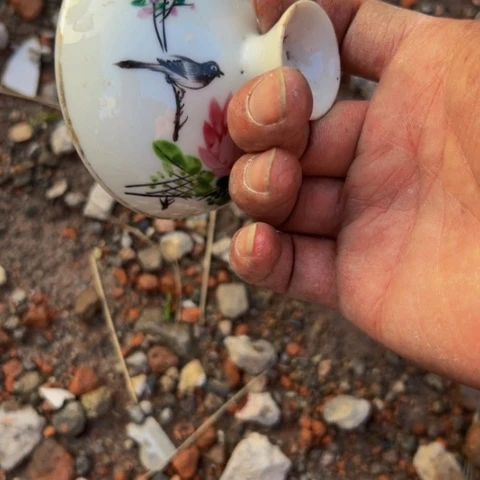 杂色豆（科檀/科特迪瓦檀木）古***庆