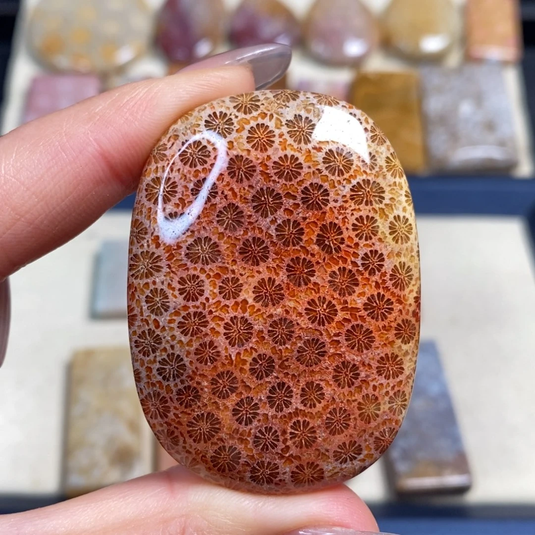 硅化玉未镶嵌吊坠