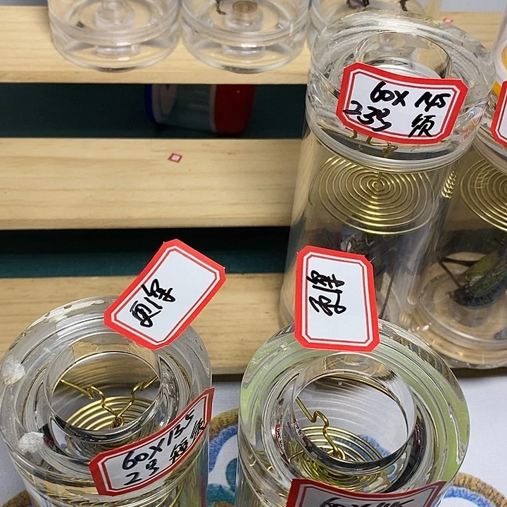 蝈蝈60-145单60-135单断须更深