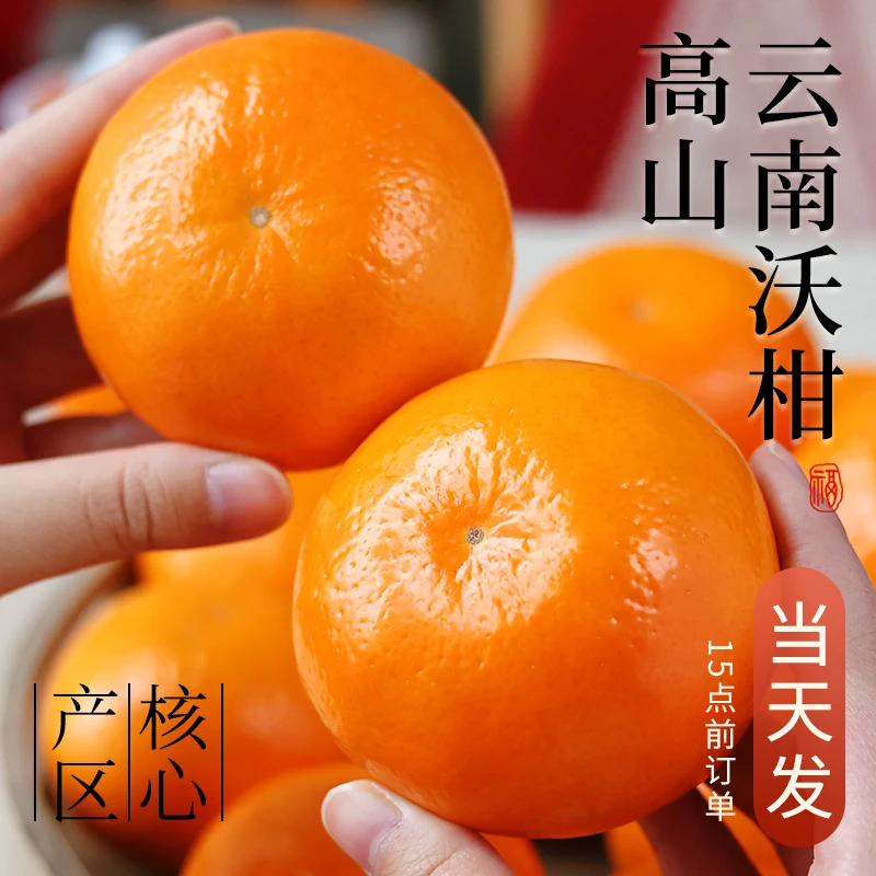 沃柑正宗云南高原新鲜桔子水果橘子当季皇帝蜜柑橘砂糖桔包邮